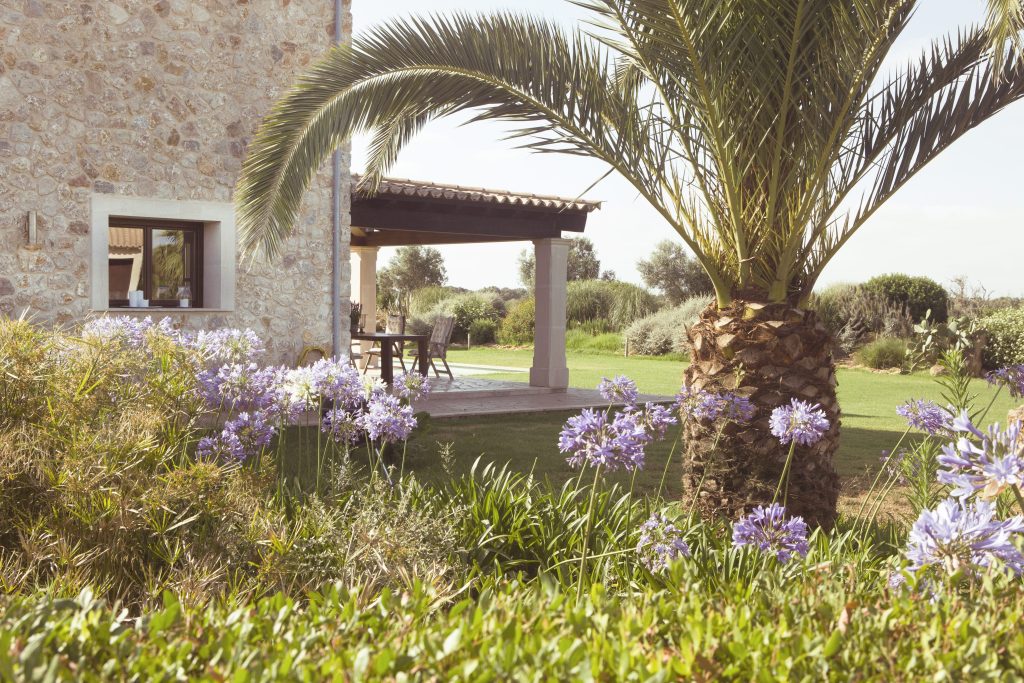 Calm interior of a private Mallorca residence